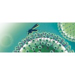 ZIKA