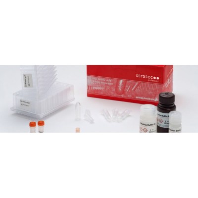 INVISORB PLASMID HTS 96 KIT