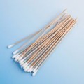 Bulk packed Dryswabs Woodstick 