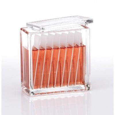 16 SLIDE STAINING DISH HELLENDAHL