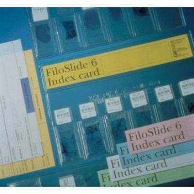 FILOSLIDE 6 WALLET + INDEX STRIPS