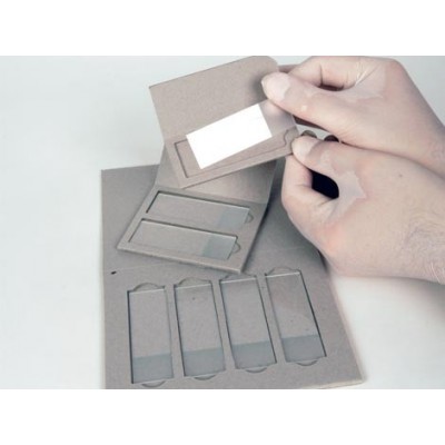 SLIDERITE 2 - CARDBOARD MAILER