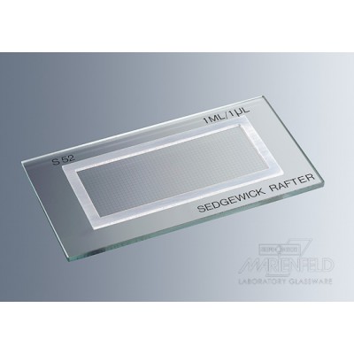 Counting chambers Sedgewick Rafter