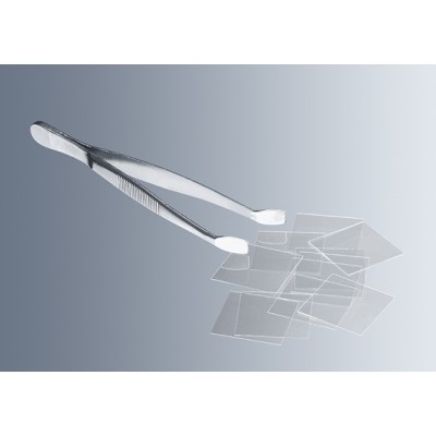 Cover glass forceps according to Kuehne